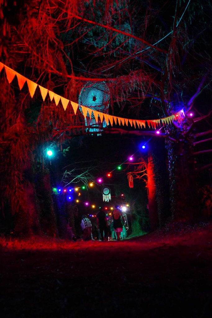 L'allée des Douglas illuminée la nuit